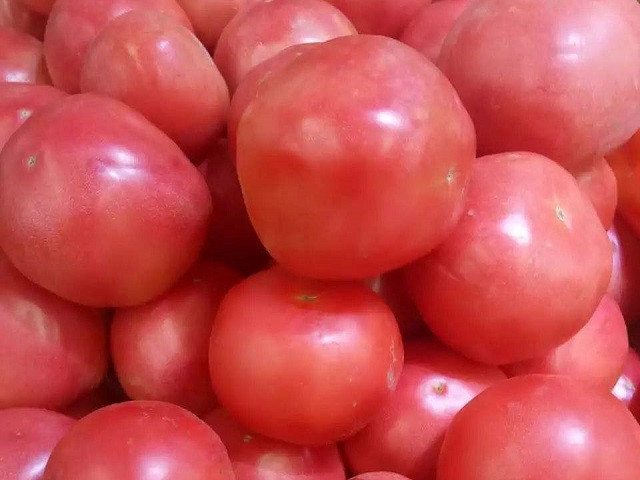 西红柿配送